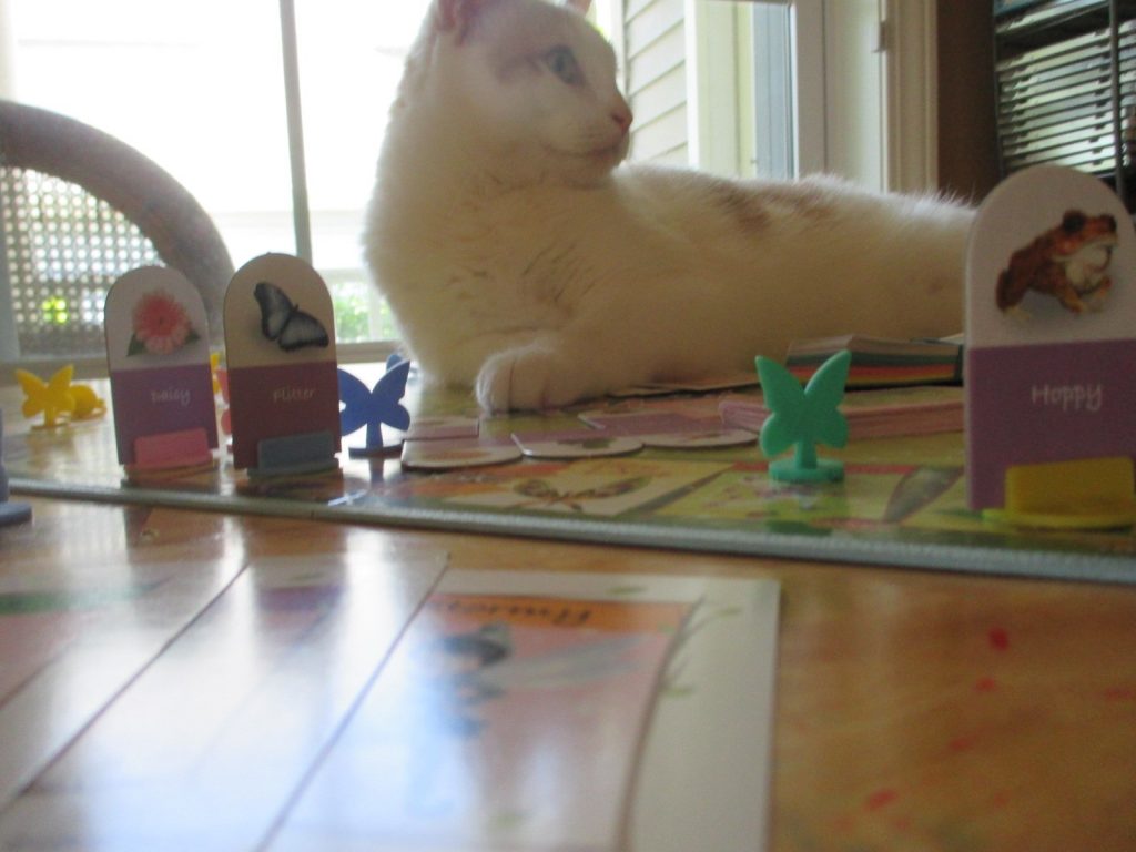 white cat playing a board game
