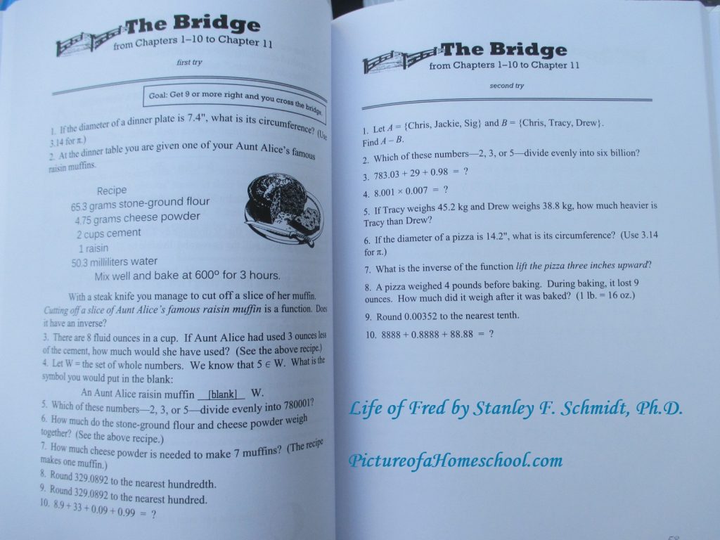 Review Life Of Fred A Math Curriculum Picture Of A Homeschool