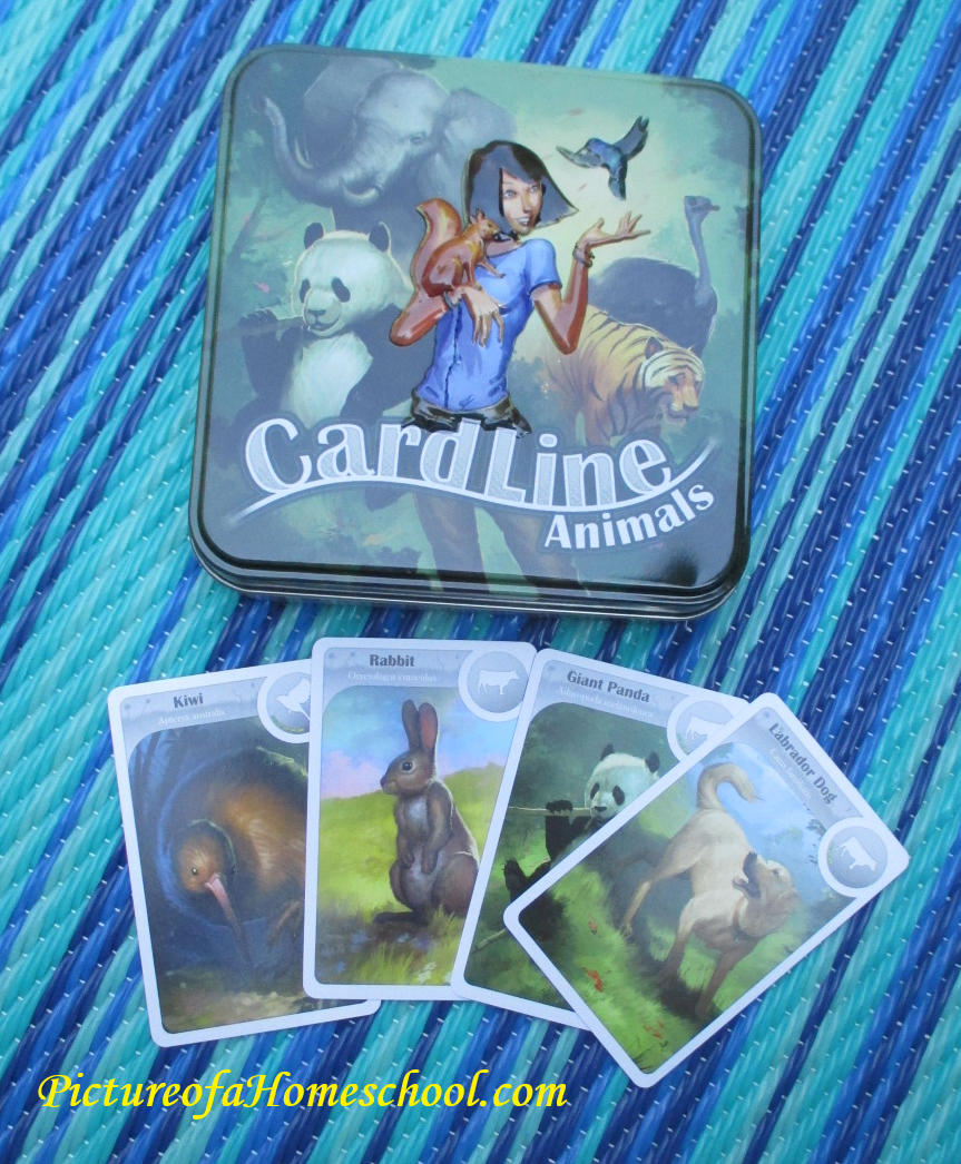 CardLine Animals Science and Math Game